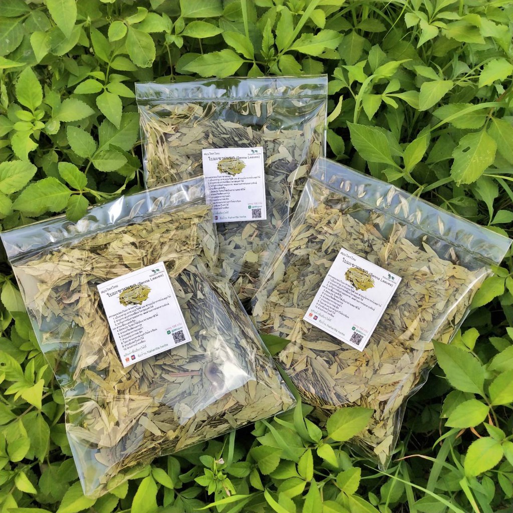 50 Grams Of Tamarind Leaves (Senna Leaves) Dried Help Relieve Constipation Hemorrhoids. Shopee