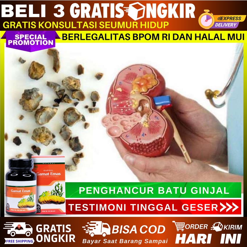Herbal Medicine For Destroying Kidney Stones, Urine, Back Pain, Kidney ...