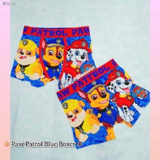 Sale!Character Printed Paw Patrol Brief for Boy underwear for kids  #trianawears innerwear