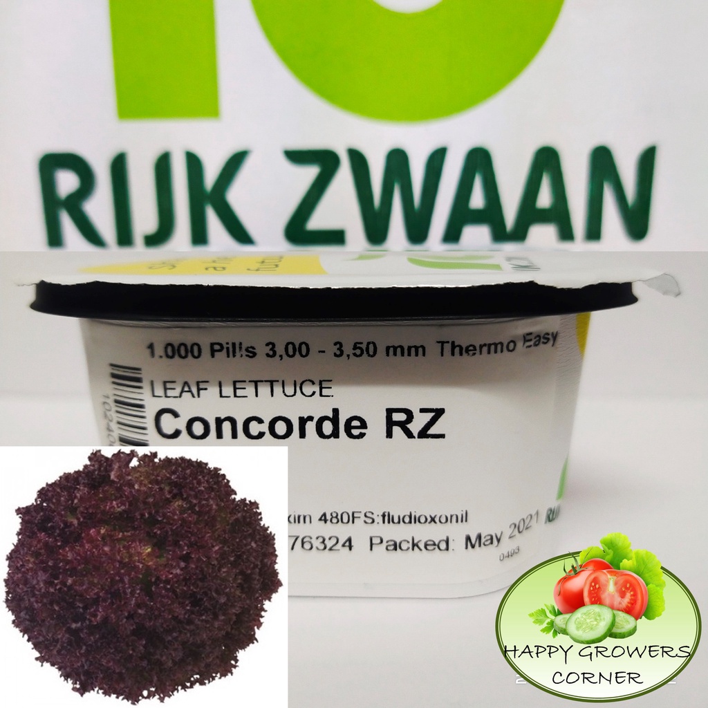 Rijk Zwaan Premium Lettuce Seeds 100 Pills Per Pack Shopee Philippines 3016