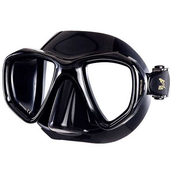 IST MP201 PROTEUS MASK WITH BOX | Shopee Philippines