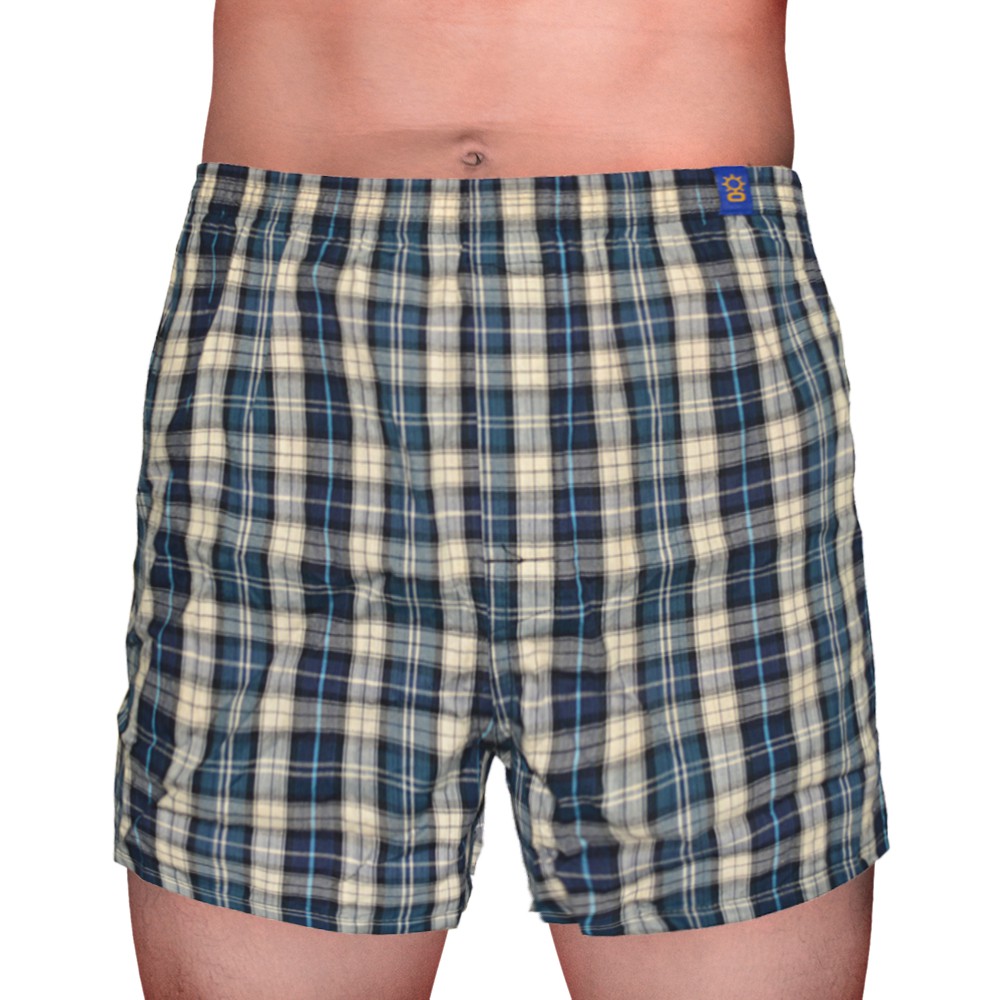 Sunjoy Checkered Boxer Shorts (Aqua Blue) | Shopee Philippines