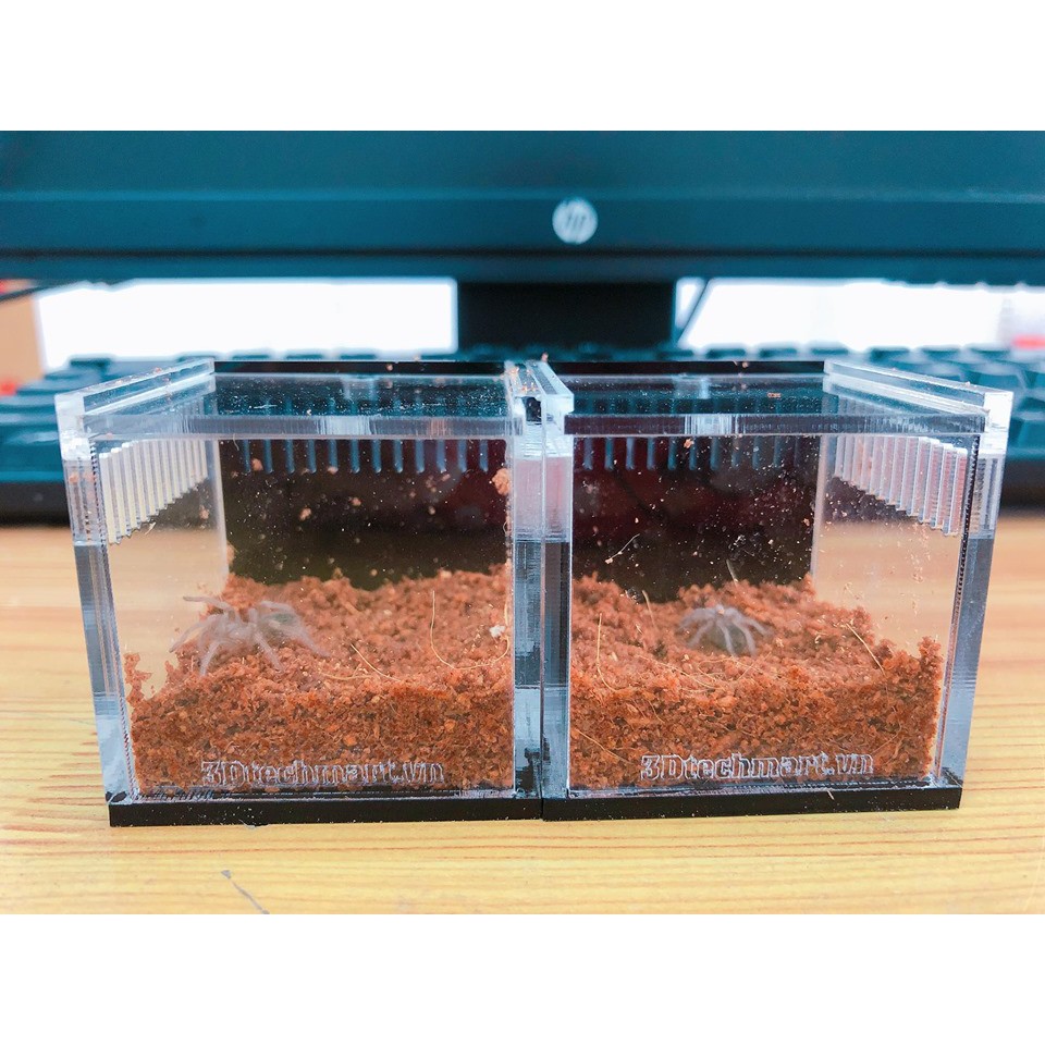 Spider CATERING BOX (TANK SLING 5-5-5CM) | Shopee Philippines