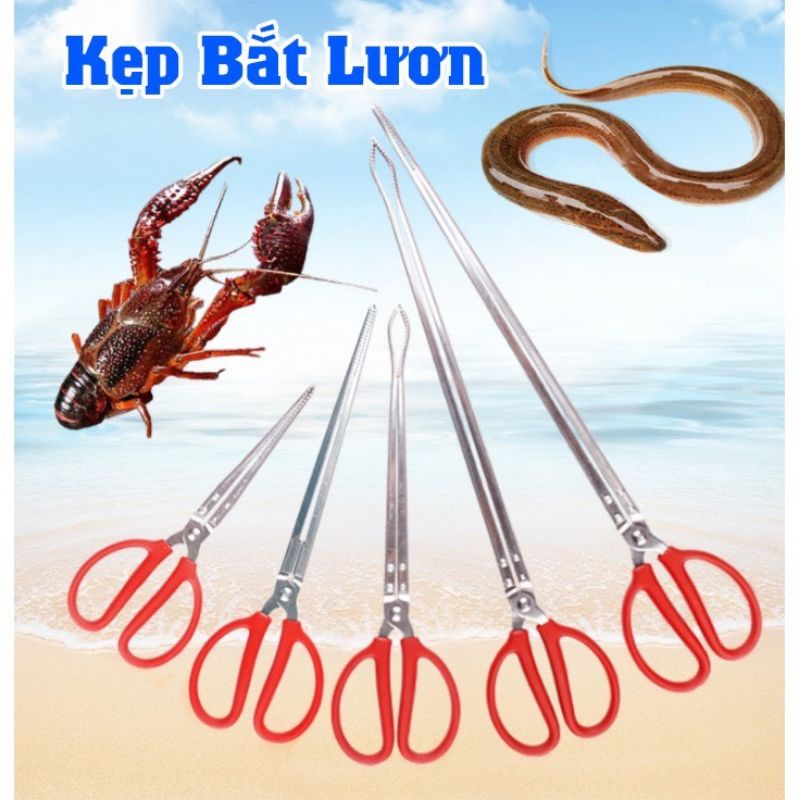 Snake Eel Capture Clamps, Seafood, Crab, Lobster | Shopee Philippines