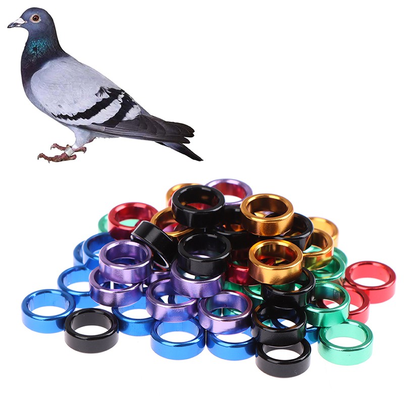 30 PCS/10 Pcs 8mm/5mm Pigeons/Lovebirds Aluminum foot rings Birds ...