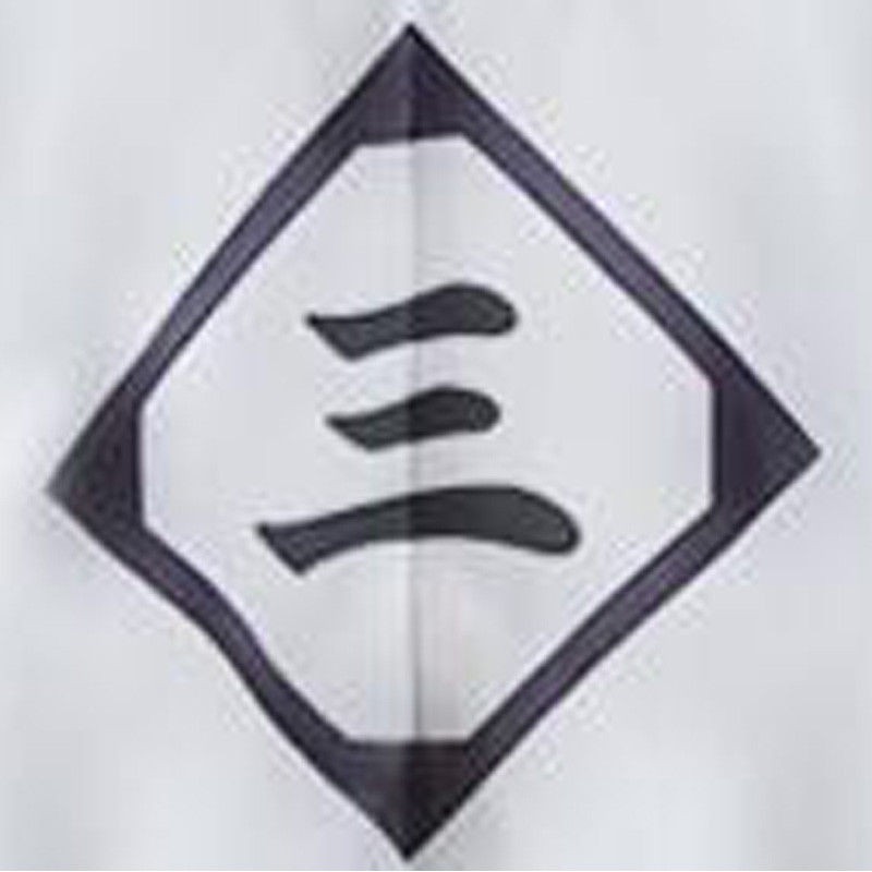 BLEACH White Haori Cosplay Costume From 1st to 13th Division Captain