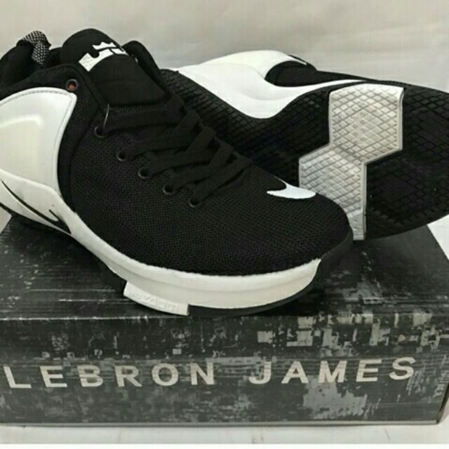 Lebron shoes cheap nike zoom