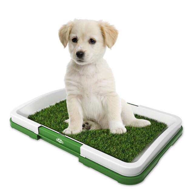 Potty store training pad