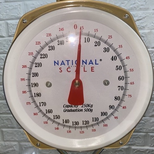 NATIONAL HANGING WEIGHING SCALE 250KGS CAPACITY | Shopee Philippines