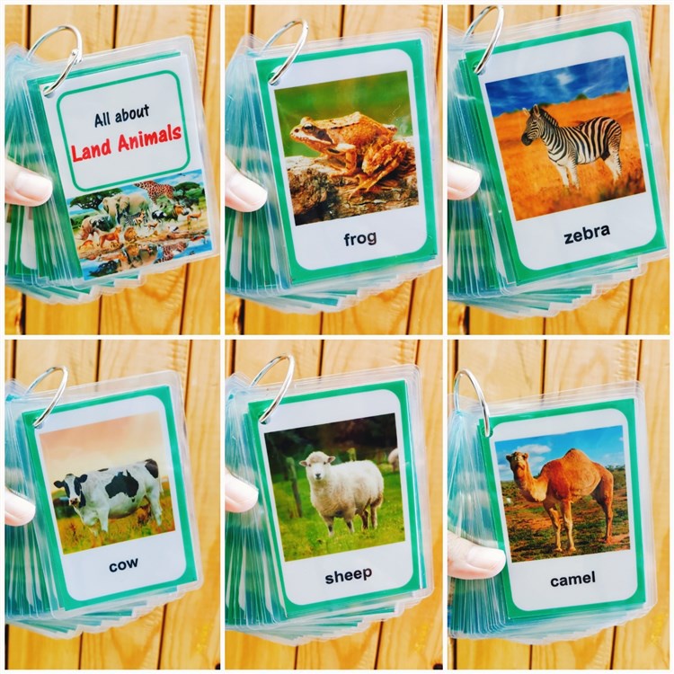 Land animals educational laminated flashcards Shopee Philippines