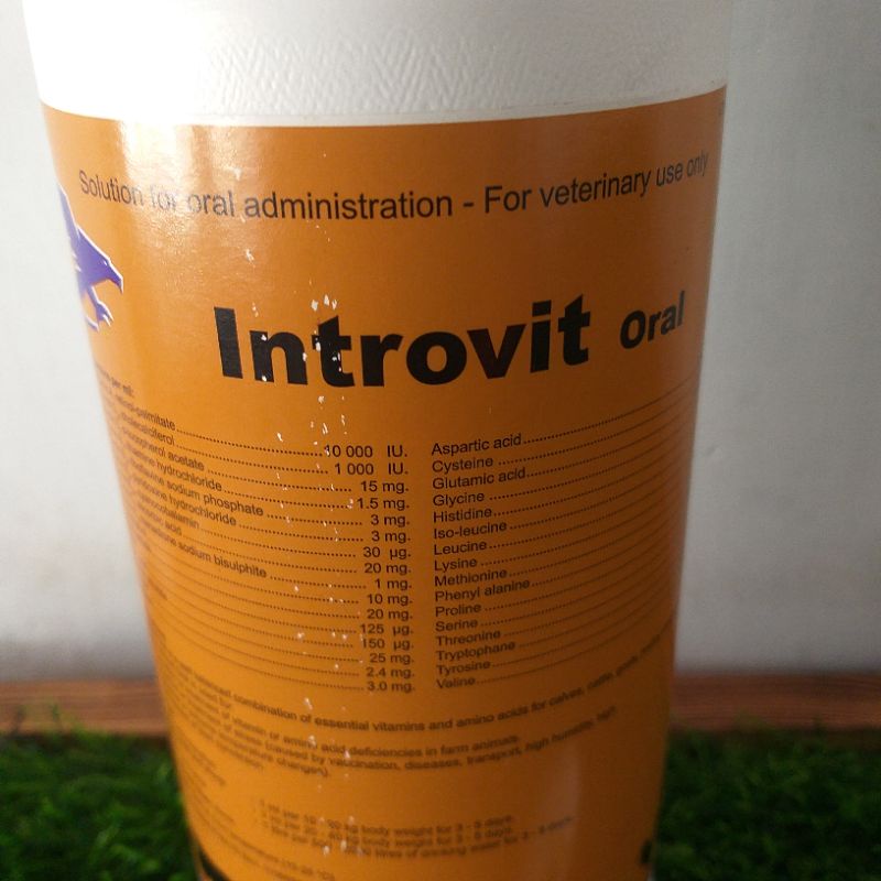 Introvit Oral 1 liter Multivitamin And amino Acids Goat, Cow, Chicken ...