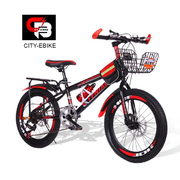 20er bike best sale