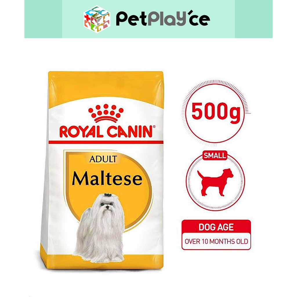 royal-canin-maltese-adult-dry-dog-food-500g-bhn-spt-shopee-philippines