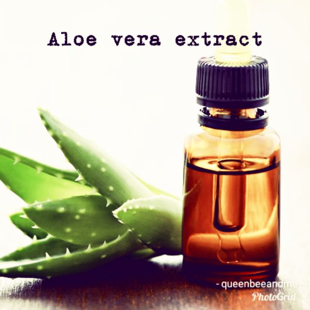 Aloe Vera Extract (Oil & Water Soluble) Shopee Philippines