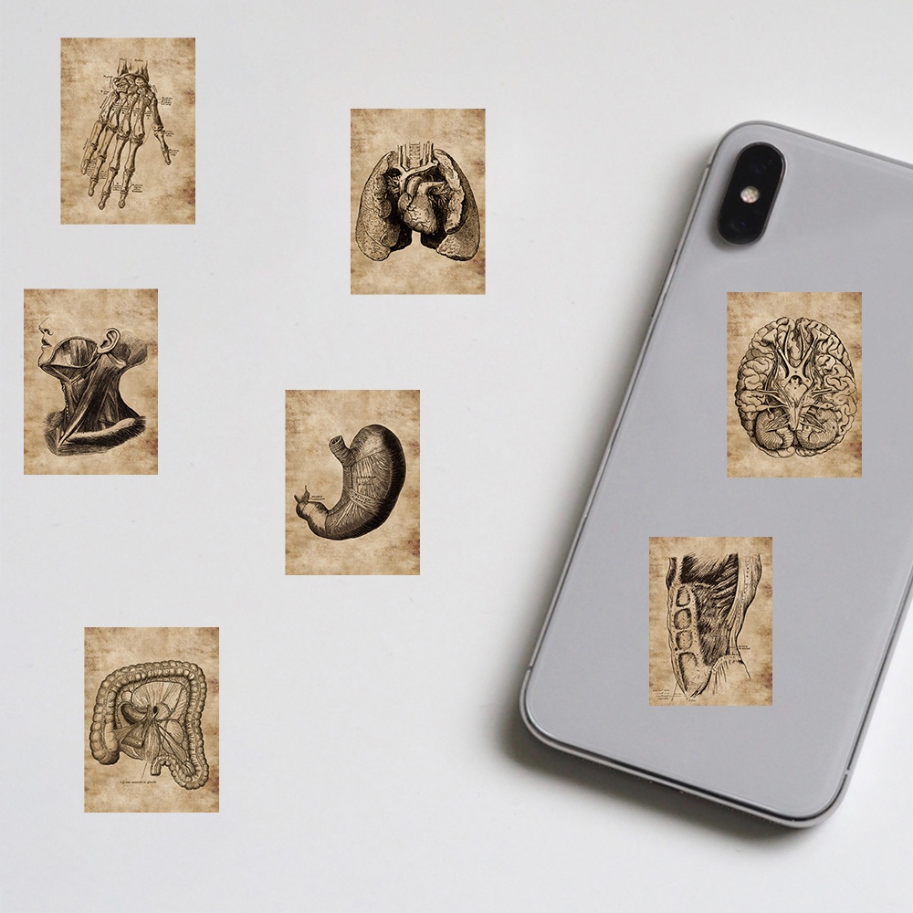 10/25/50Pcs Anatomy Human Skeleton Sticker Art Picture Laptop Luggage ...