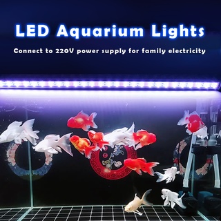 Aquarium lights shop for sale