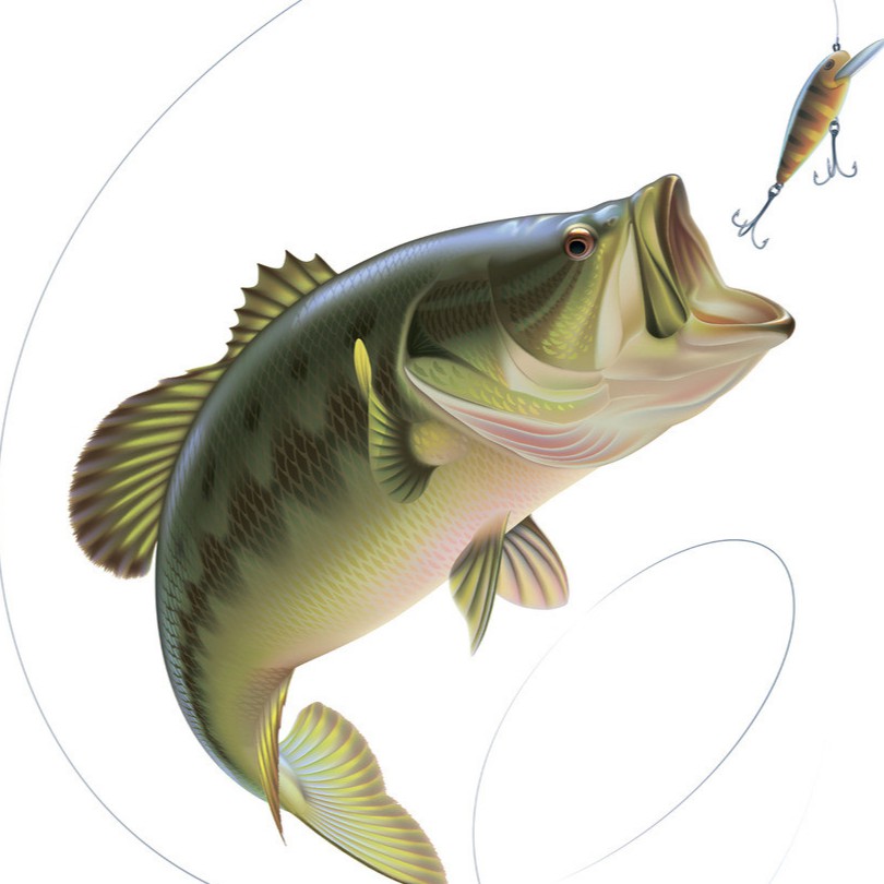 RYOBI ZEUS HPX Spinning Fishing reel 1000-8000 Gear Ratio 5.1:1