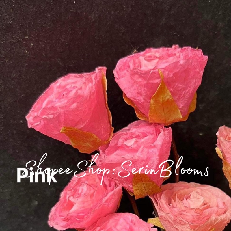 Fossilized Rose (Petite)sold per piece 4-5cm | Shopee Philippines