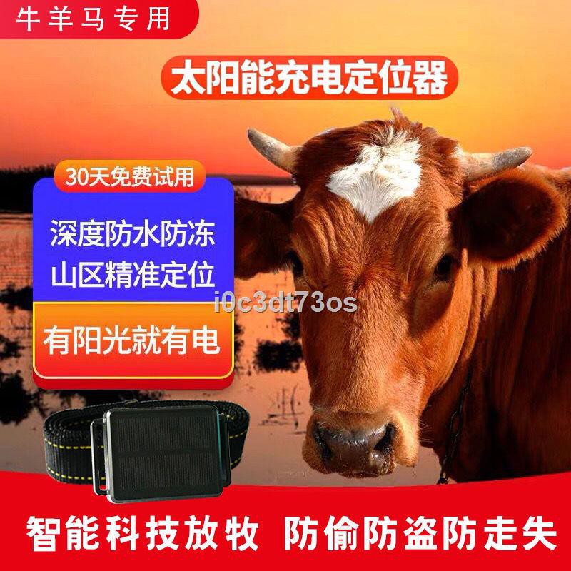 Cattle and sheep locator GPS follower animal mountain grazing special