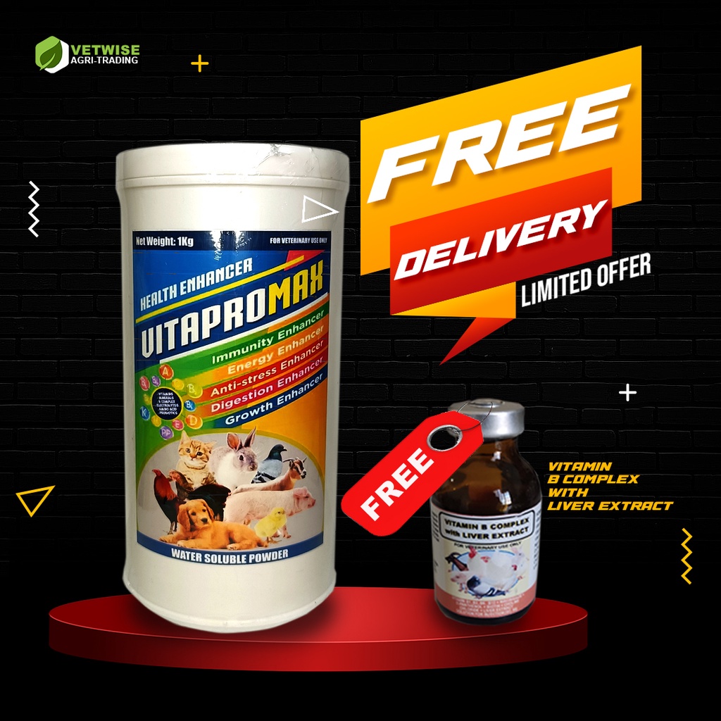 VITAPROMAX 8 PROBIOTICS + 24 MULTIVITAMINS AND MINDERALS | Shopee ...
