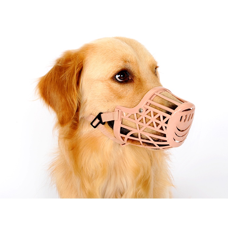 Cover clearance dog's mouth