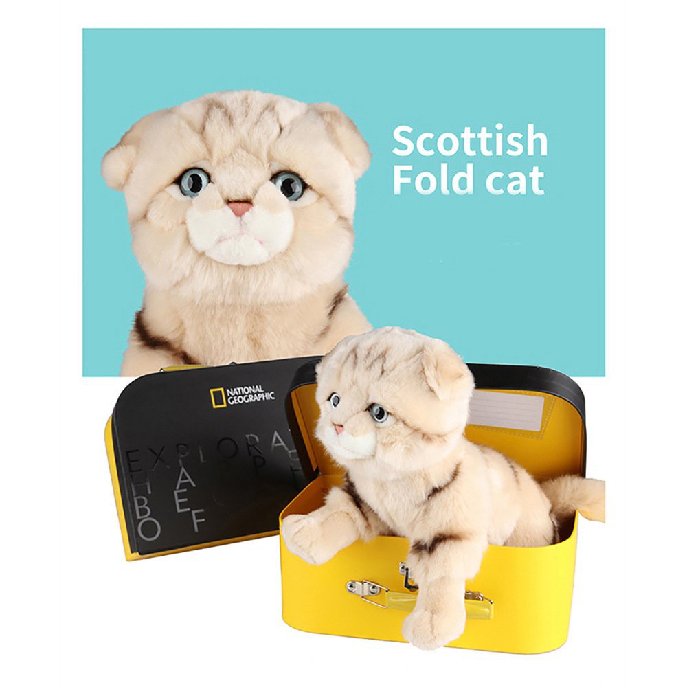 National geographic cat toy sale