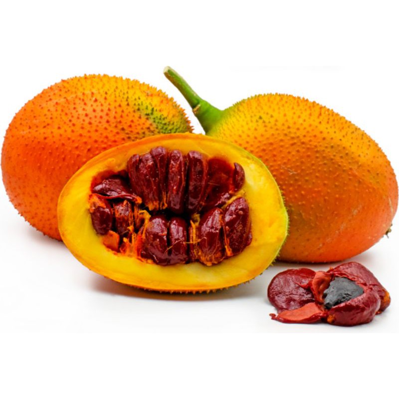 GAC FRUIT SEEDS (JUNE 2023 HARVEST) (3 SEEDS PER PACK) Shopee Philippines