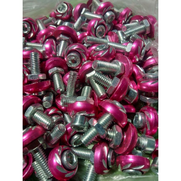 Allen Bolt Set M6 6mm Diameter Stepgrill Bolt Plate Bolt Shopee