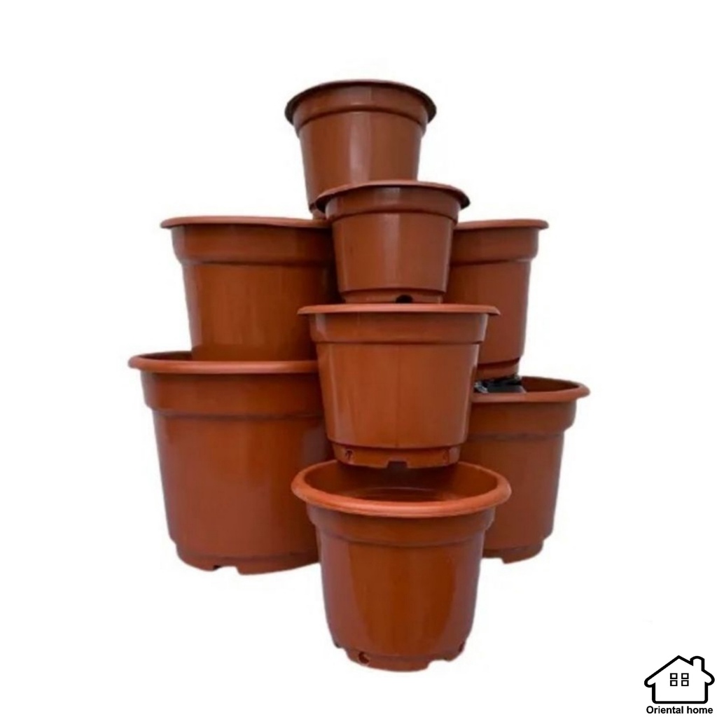 Shop container plastic for Sale on Shopee Philippines