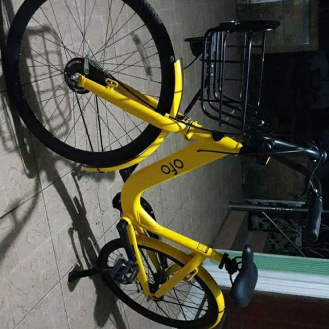 ofo ladies bike