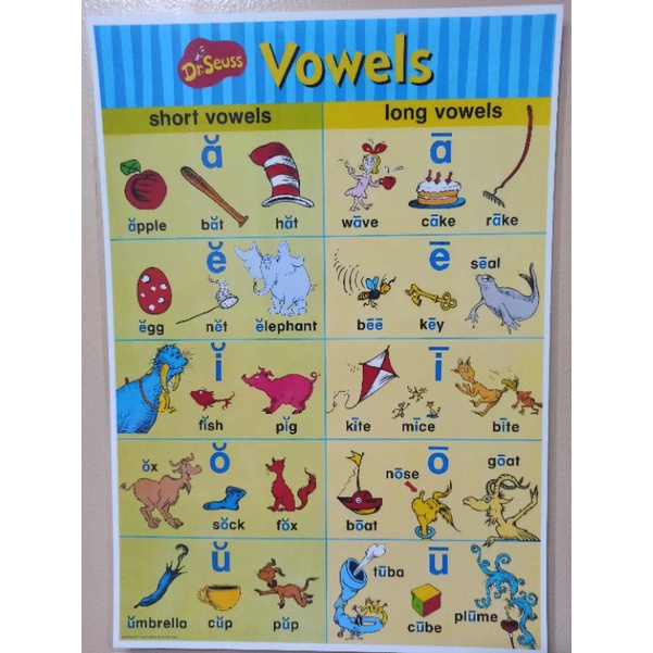 Laminated Educational Charts Vowels Ending Blends Digraphs Consonants