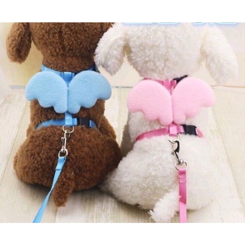 Pet Angel Wings Adjustable Harness Leash Pets Dogs Cats | Shopee ...