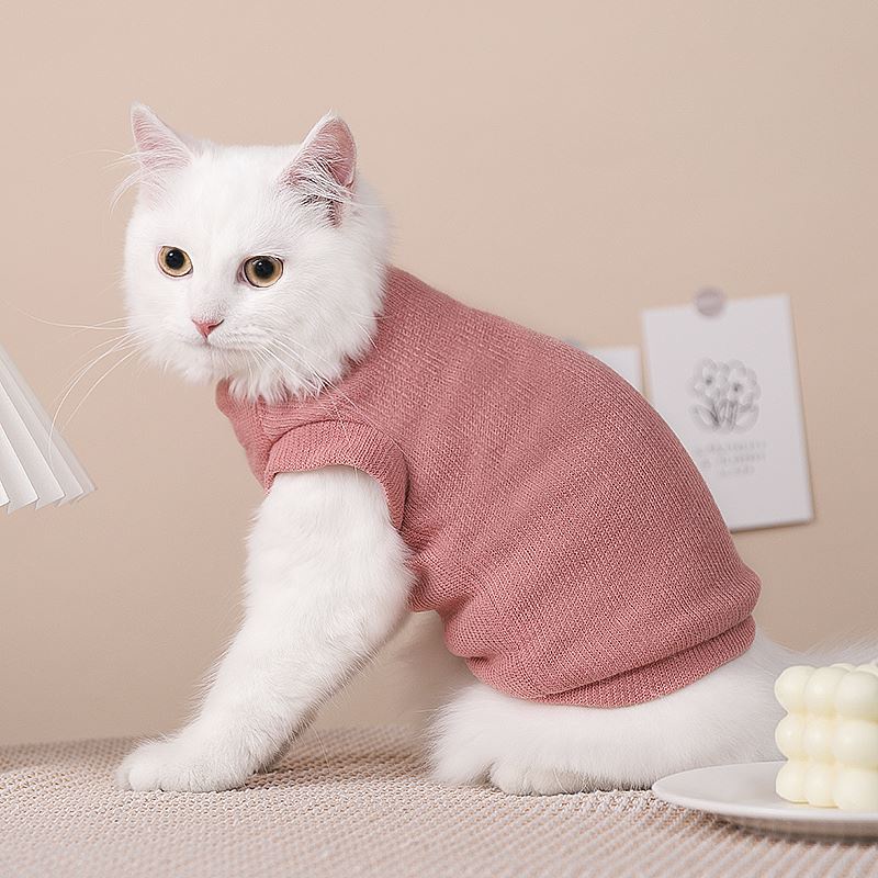 Cute on sale cat clothing