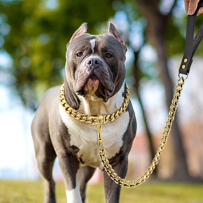 Stainless steel dog chain sales collar