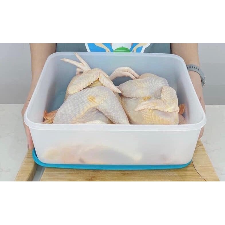 Freezermate 5.7L gen II Tupperware plastic freezer box | Shopee Philippines