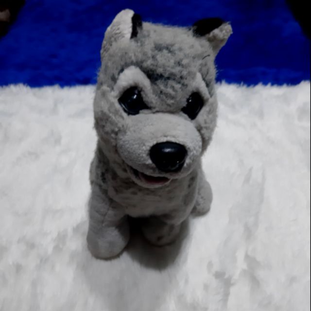 Bluey dog plush • Magic Plush