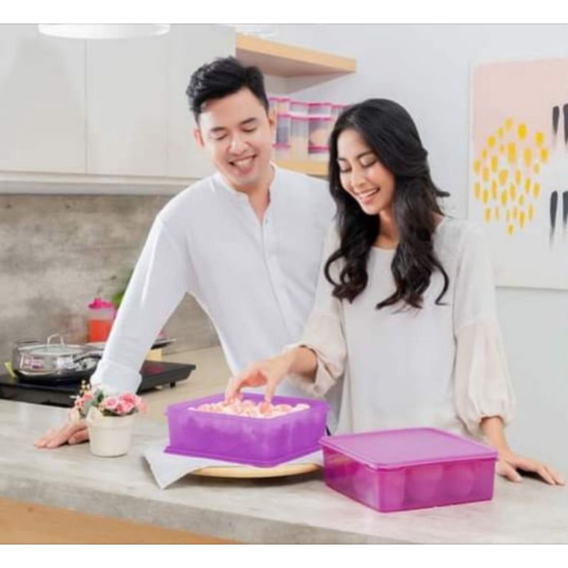 Large container/Moorlife sponge cake storage container/Layer cake ...