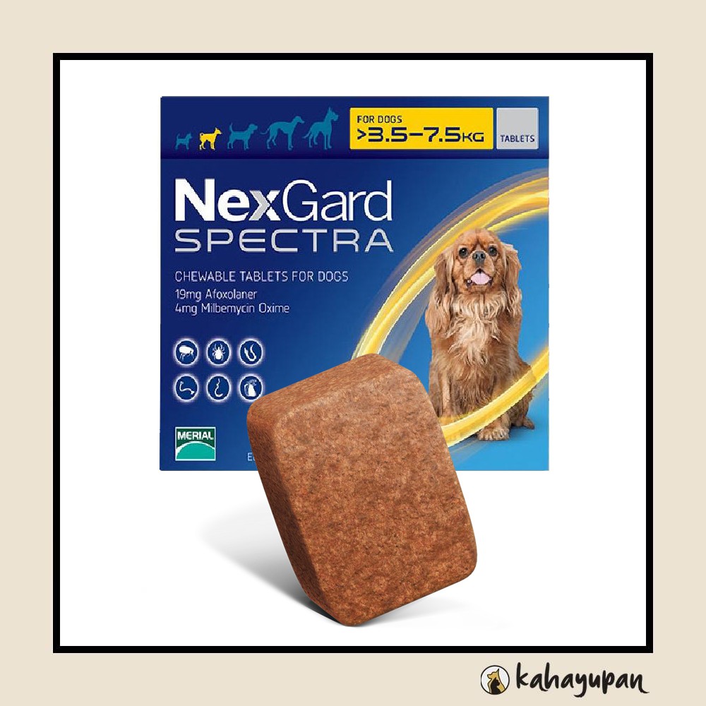 Nexgard spectra small deals dog