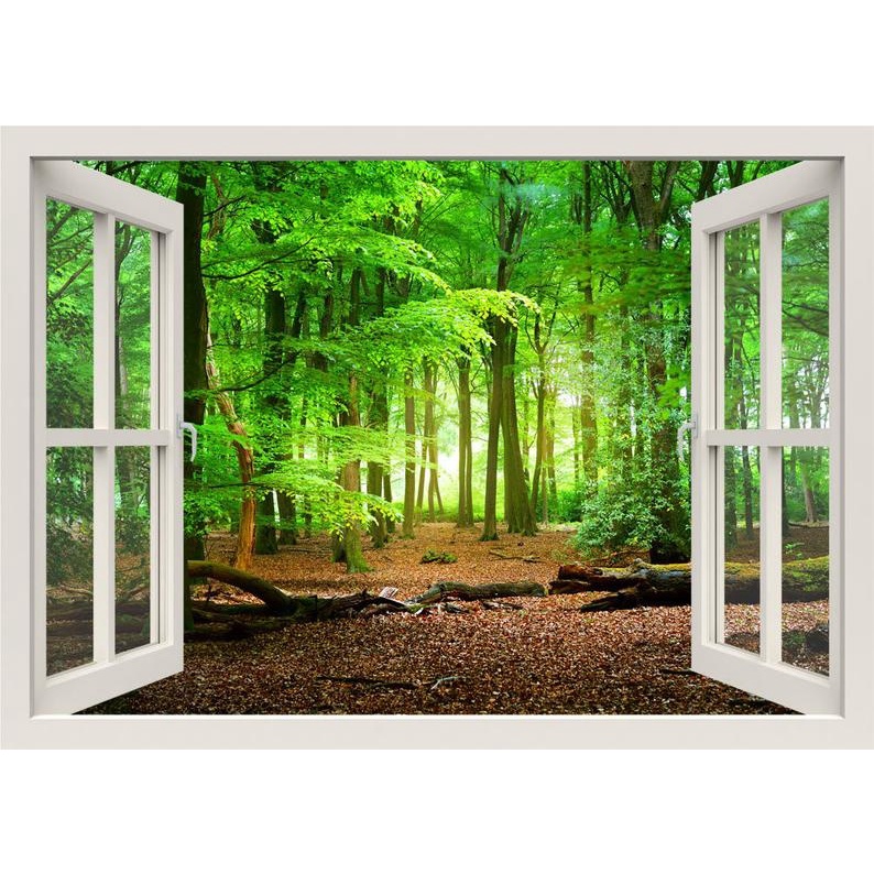 Forest Wall Decal, 3d Window Wall Decal, Window Frame, Nature Wall Decal, Window View Wall Mural