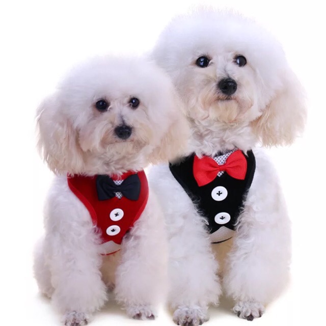 Pet Dog Tuxedo Harness w/ Leash | Shopee Philippines