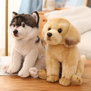 25cm New Gravycatman Plush Toy Cute Stuffed Animals Kawaii Plushie