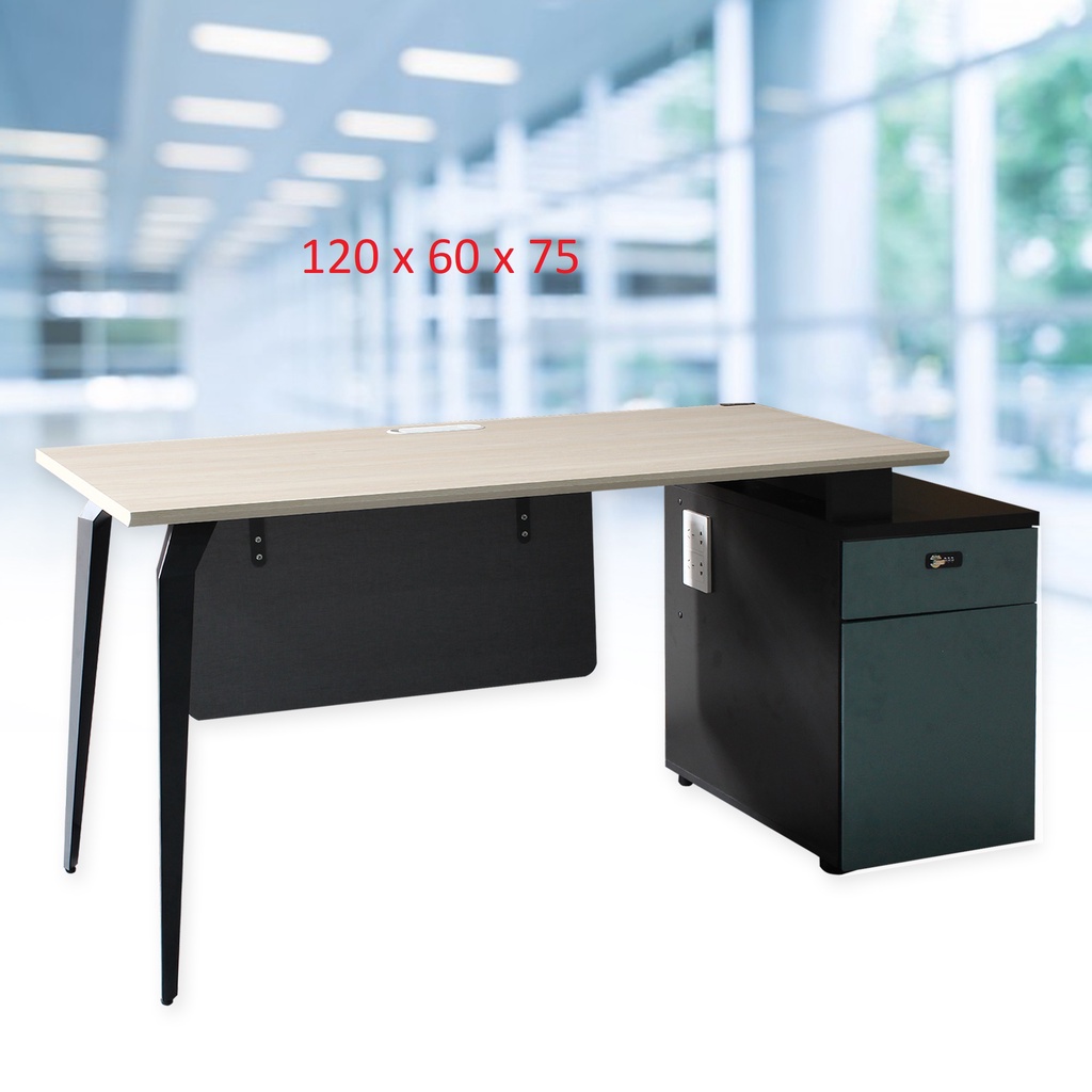 Mulisen Modern High-end Office Table with Drawer | Shopee Philippines