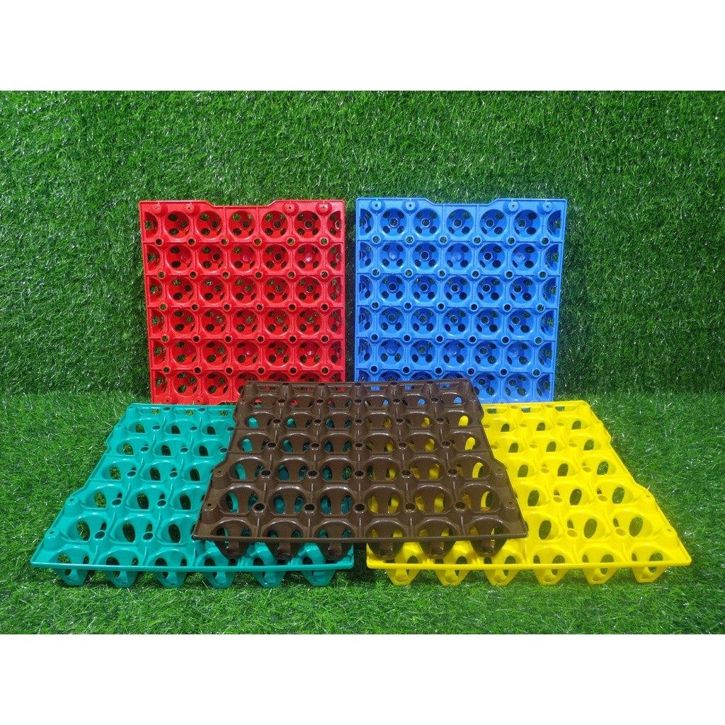 1936 Alatone Plastic Egg Tray (5 pcs per set) Shopee Philippines