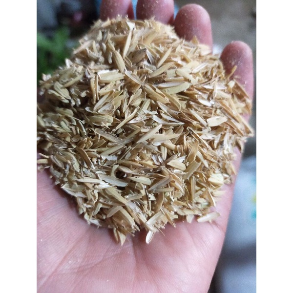 Hi quality Fresh Rice Hull (Ipa) | Shopee Philippines