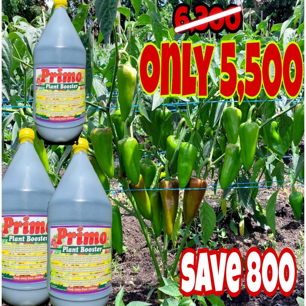 PRIMO PLANT BOOSTER 1 Gallon(4liters) | Shopee Philippines