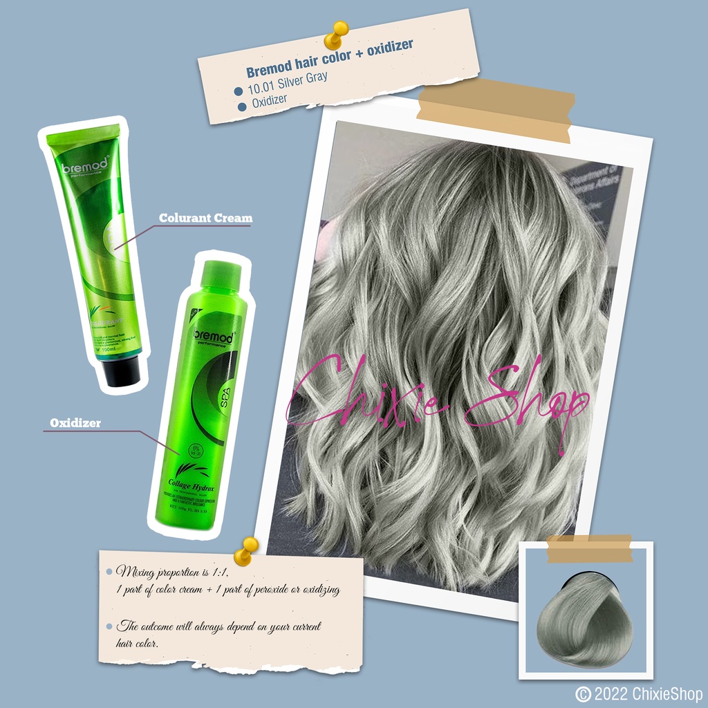 Silver Gray Bremod Hair Color (10.01) Shopee Philippines