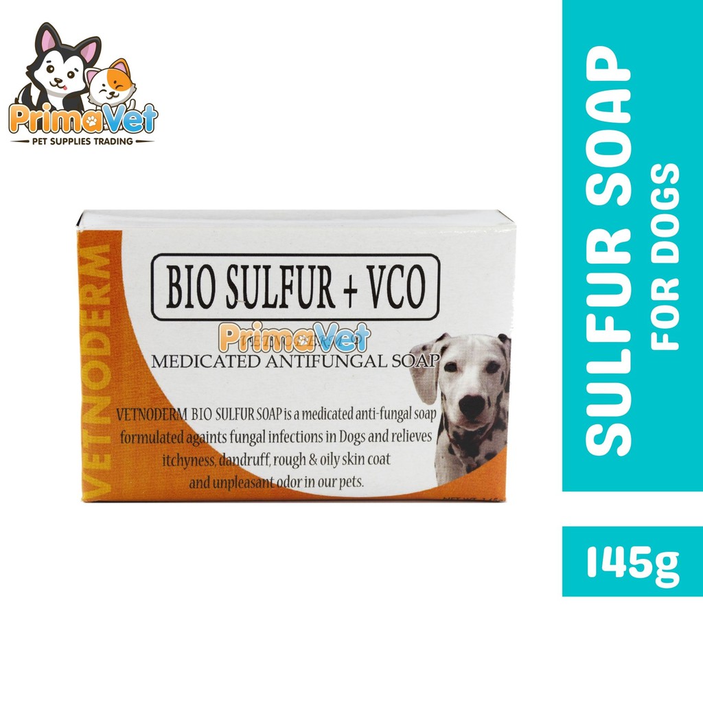 Antifungal soap shop for dogs