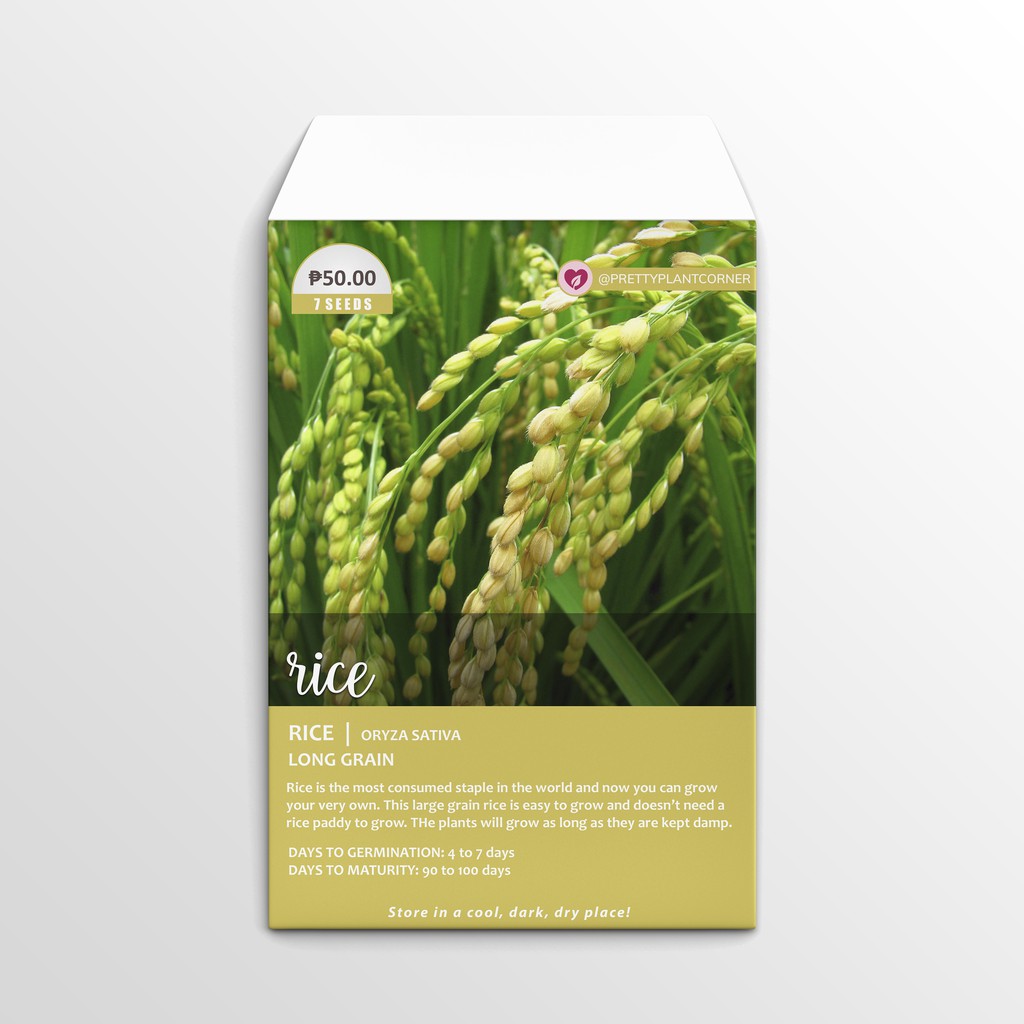 Long Grain Rice Seeds | Shopee Philippines