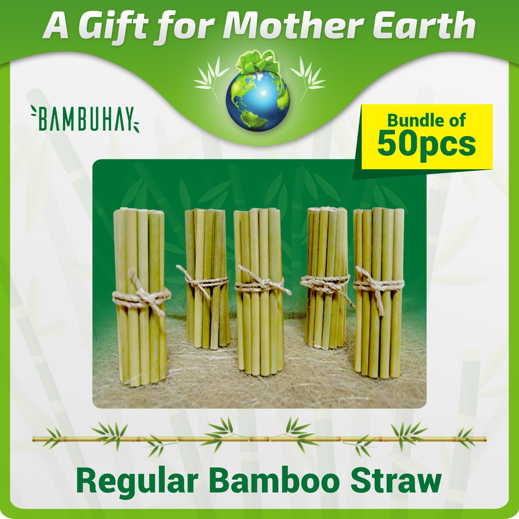 Bamboo Drinking Straw Regular Bamboo Straw (100pcs/pack) Shopee