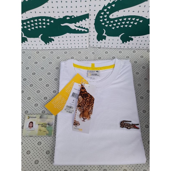 Lacoste authentic discount